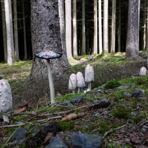 18-10-2021 15-41-07_0033